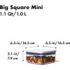 imageOXO Good Grips POP Container  Airtight Food Storage  Mini Square Mini 02 Qt Ideal for spices and dried herbsCONTAINER