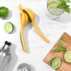 imageOXO Good Grips Citrus Squeezer
