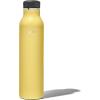 imageOXO Strive 24oz Insulated Water Bottle with Standard Lid  SlateCitrine