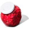 imageOXO Good Grips 30 Qt POP Medium Cookie Jar  Airtight Food Storage  for Snacks and More White and ClearMedium Jar  3 Qt