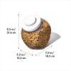 imageOXO Good Grips Pet POP Container  60 Qt57 L with Half Scoop Ideal for up to 65lbs of Dog Food or 45lbs of Cat Food Airtight Dog and Cat Food Storage Container BPA Free ClearPet POP 30 Qt
