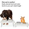 image:imageOXO Pet Adjustable Elevated Feeder